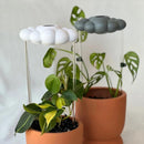 Cloud Plant - Nuvem Gotejador para Plantas