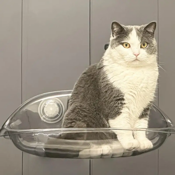 Cama suspensa de janela SkyCat | O descanso com vista do seu gato